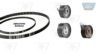 VW 074198119AQ Timing Belt Kit